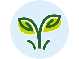 SPROUT Curriculum at Pink City